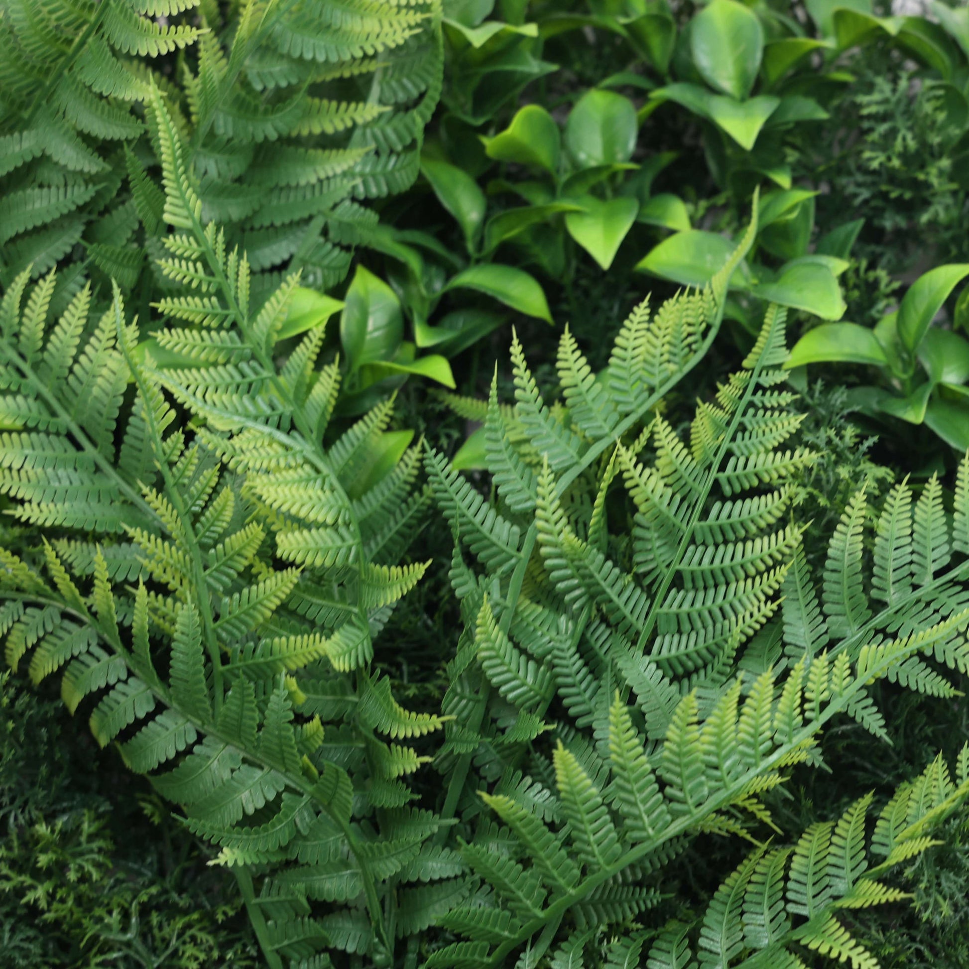 Premium Artificial Plants Green Wall Panel 1m x 50cm - Oasis