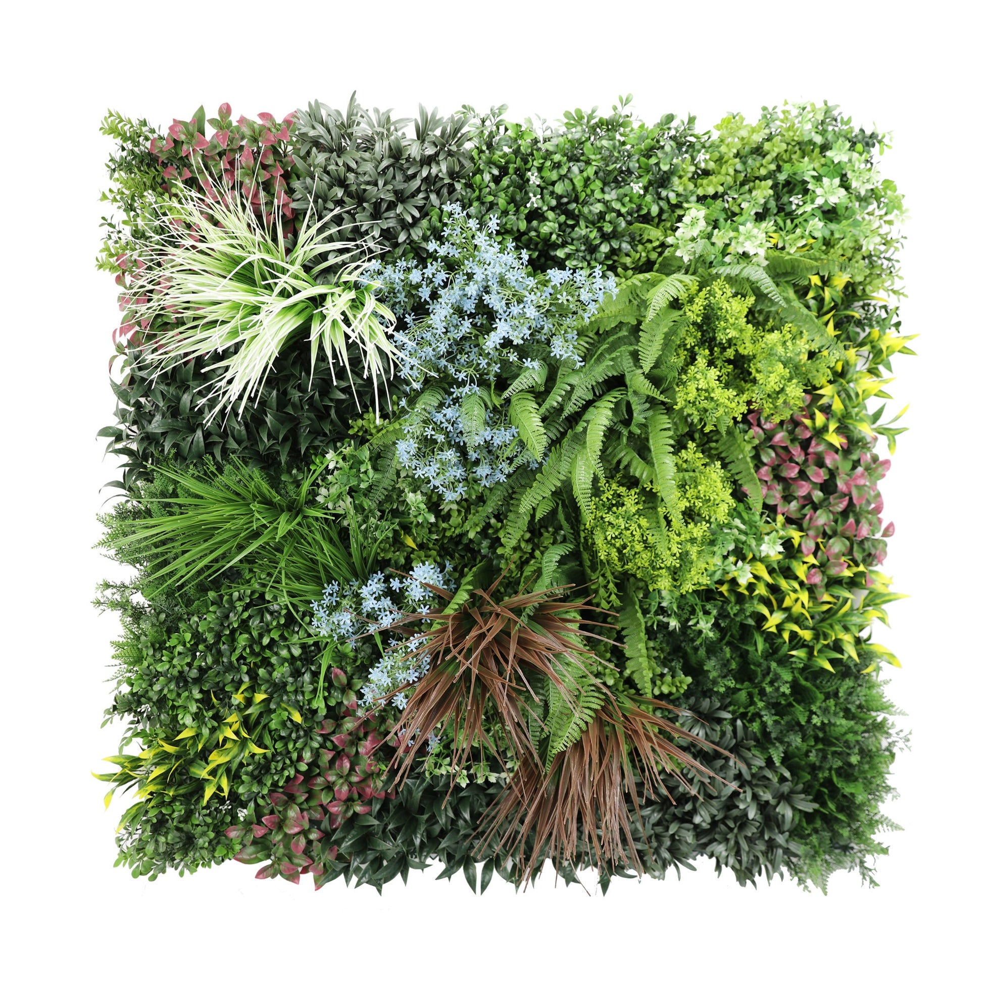 Premium Artificial Plants Green Wall Panel 1m x 1m - Pandora B
