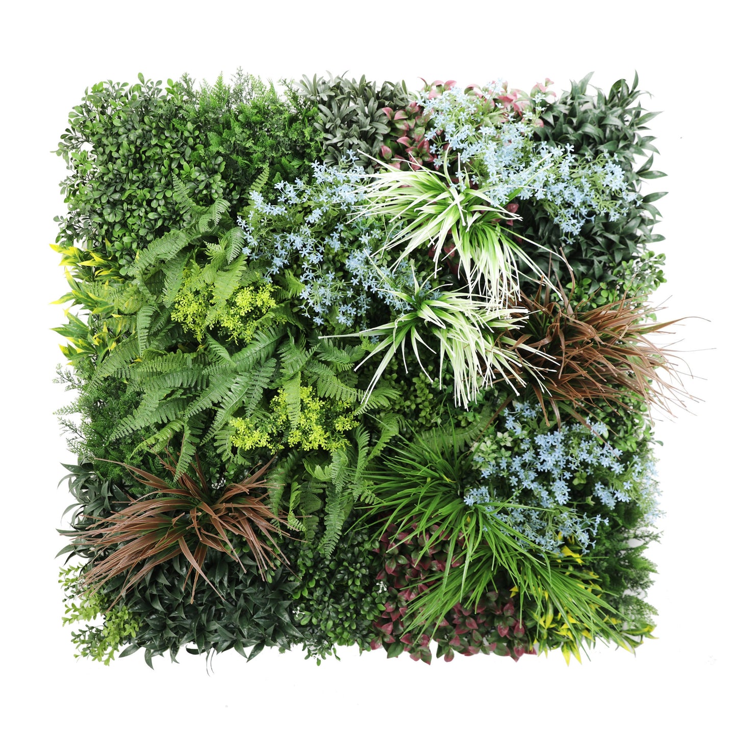 Premium Artificial Plants Green Wall Panel 1m x 1m - Pandora C