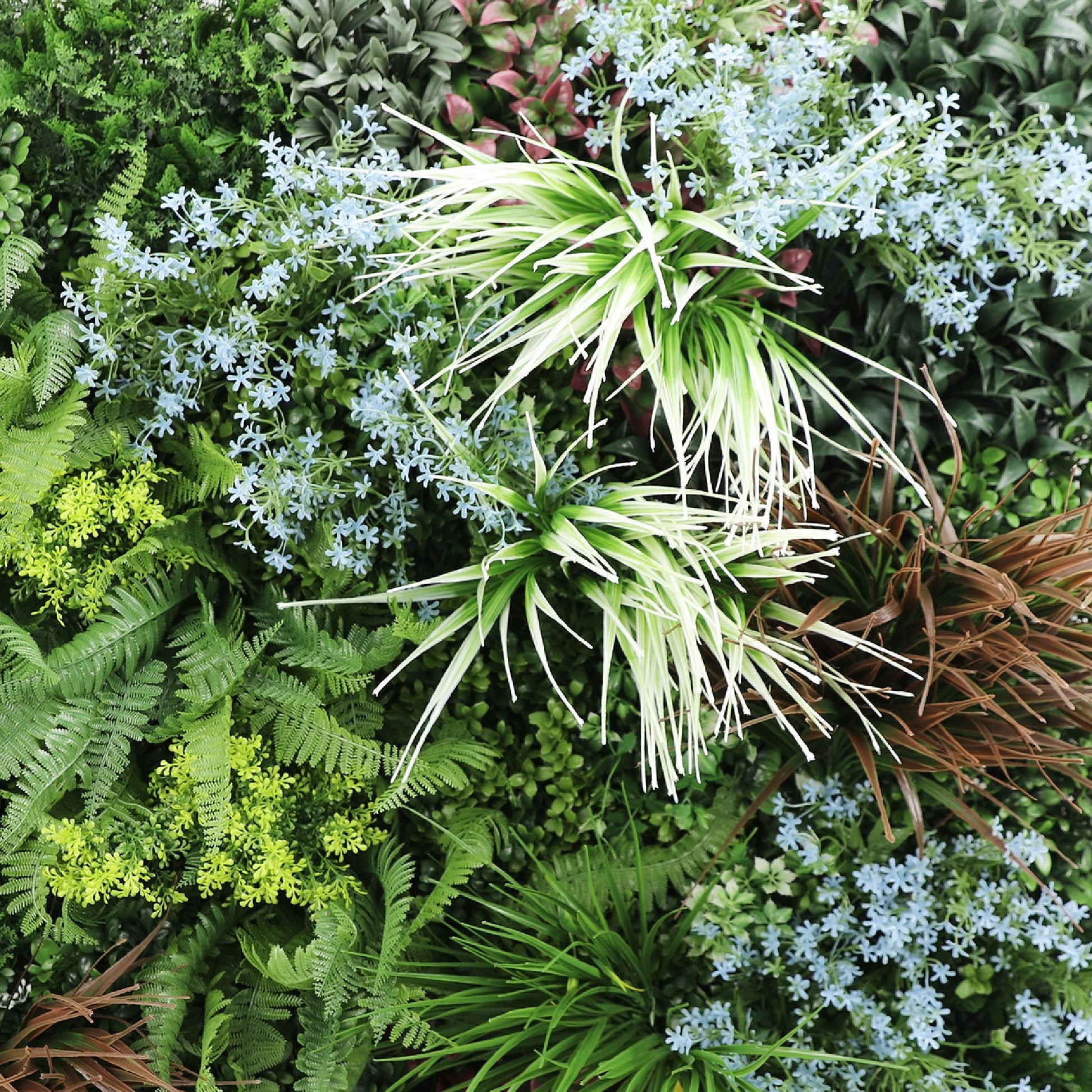Premium Artificial Plants Green Wall Panel 1m x 1m - Pandora C