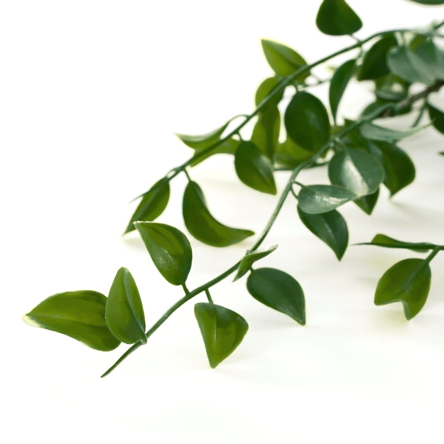 Artificial Hanging String of Pearls Bush 80cm
