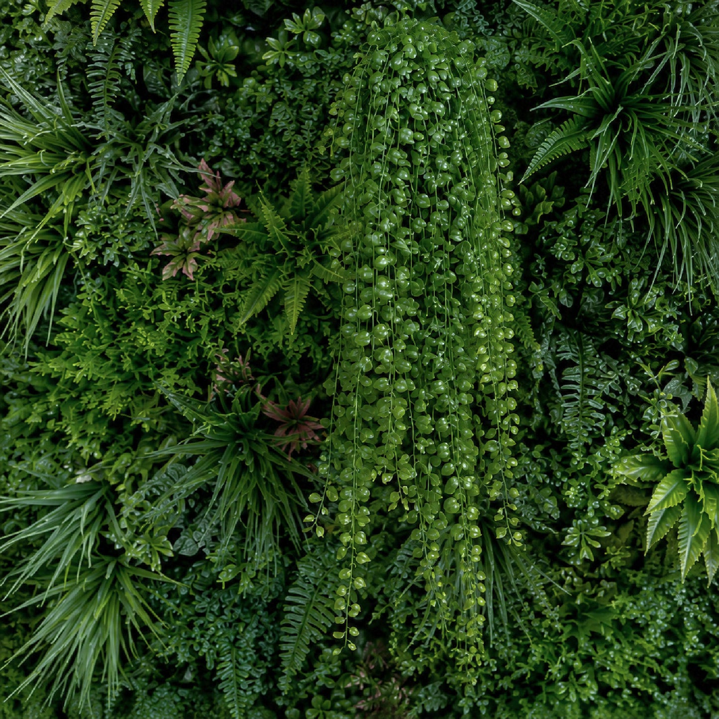 Artificial Hanging String of Pearls Bush 80cm