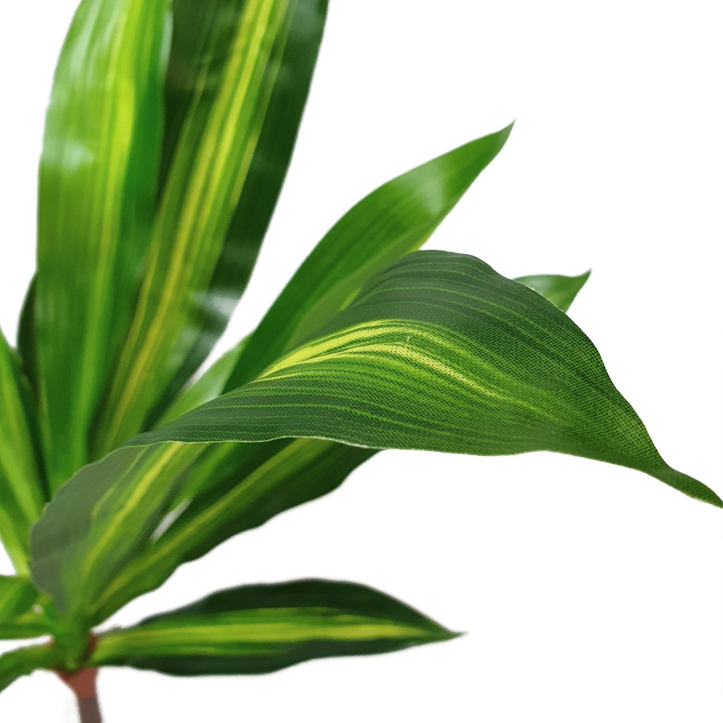 Artificial Dracaena Fragrans Dragon Tree – 100cm