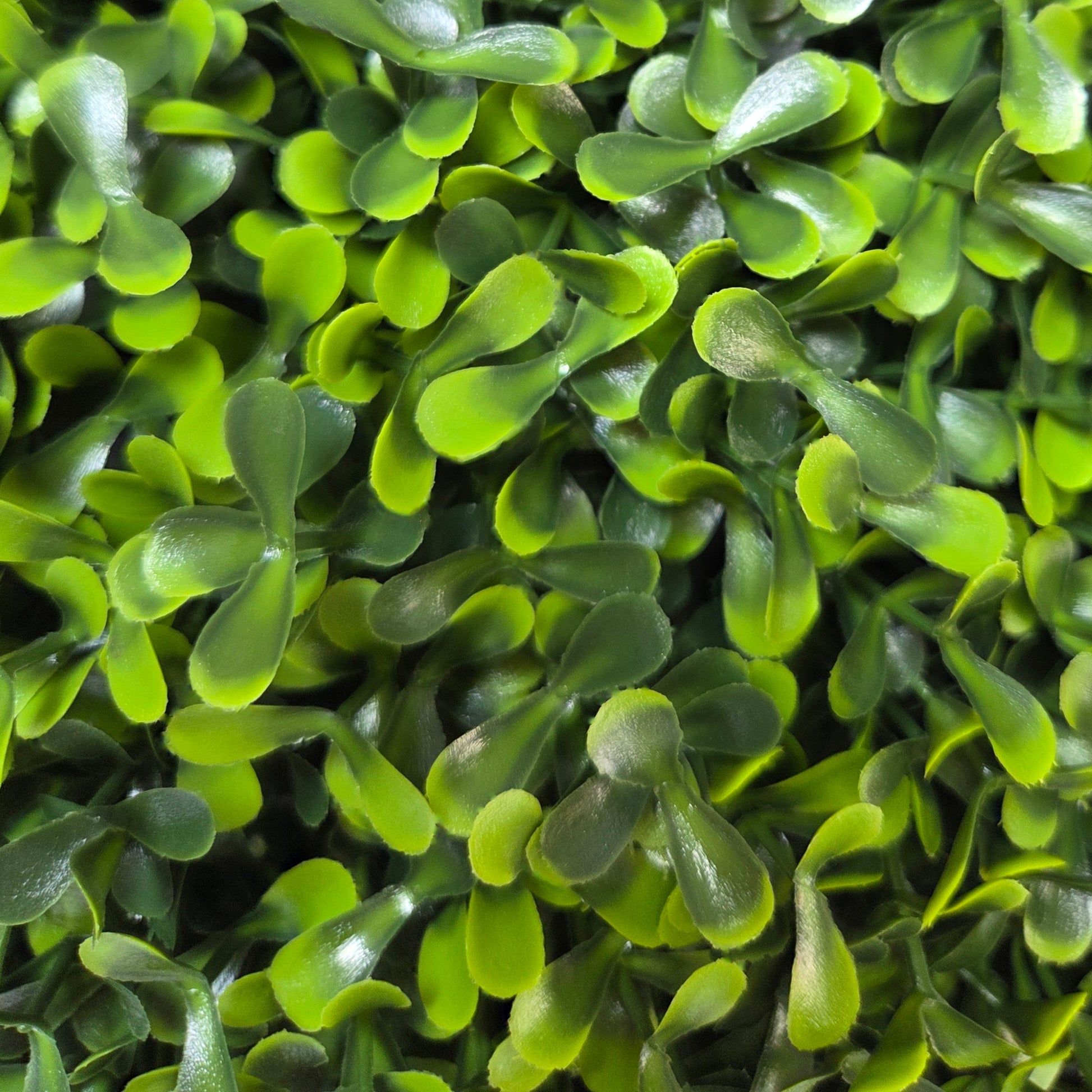 Artificial Pittosporum Topiary Ball - 35cm