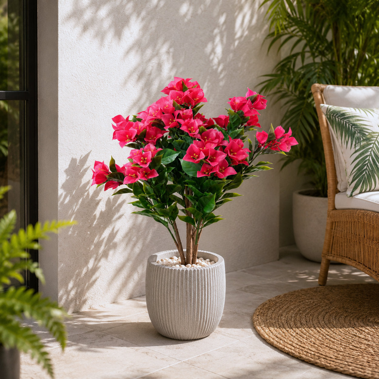 Bougainvillea Tree Fuchsia UV Protected - 60cm