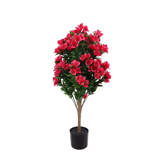 Bougainvillea Tree Fuchsia UV Protected- 90cm