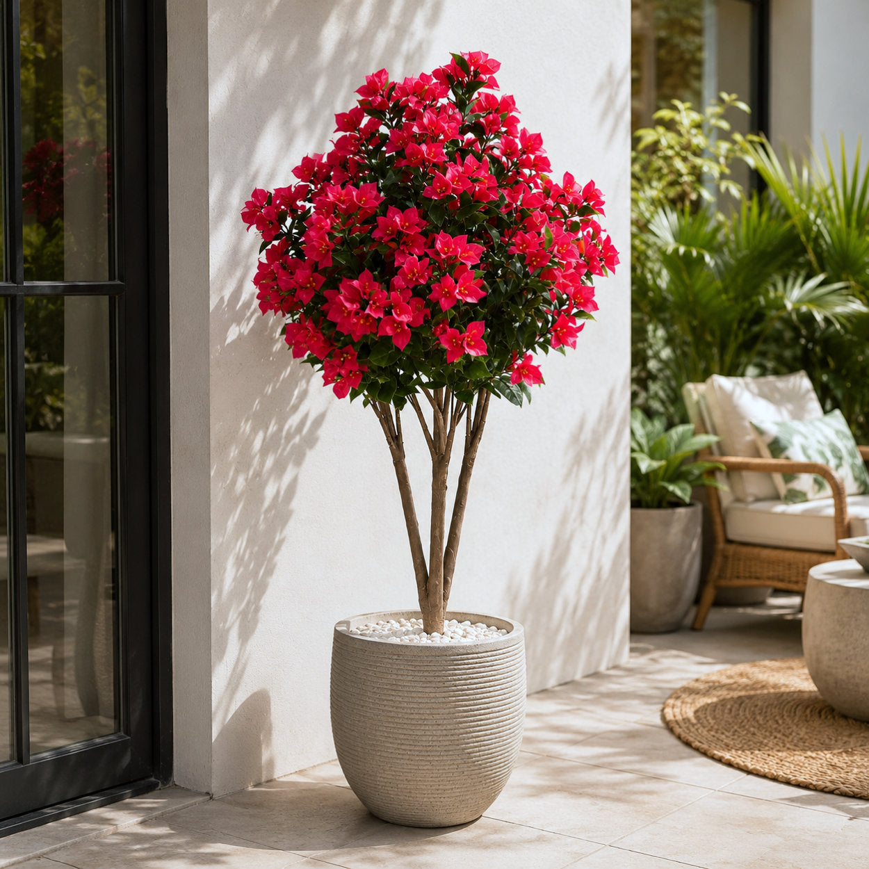 Bougainvillea Tree Fuchsia UV Protected - 120cm