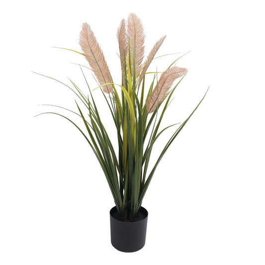 Pampas Grass Plant UV Protected - 90cm