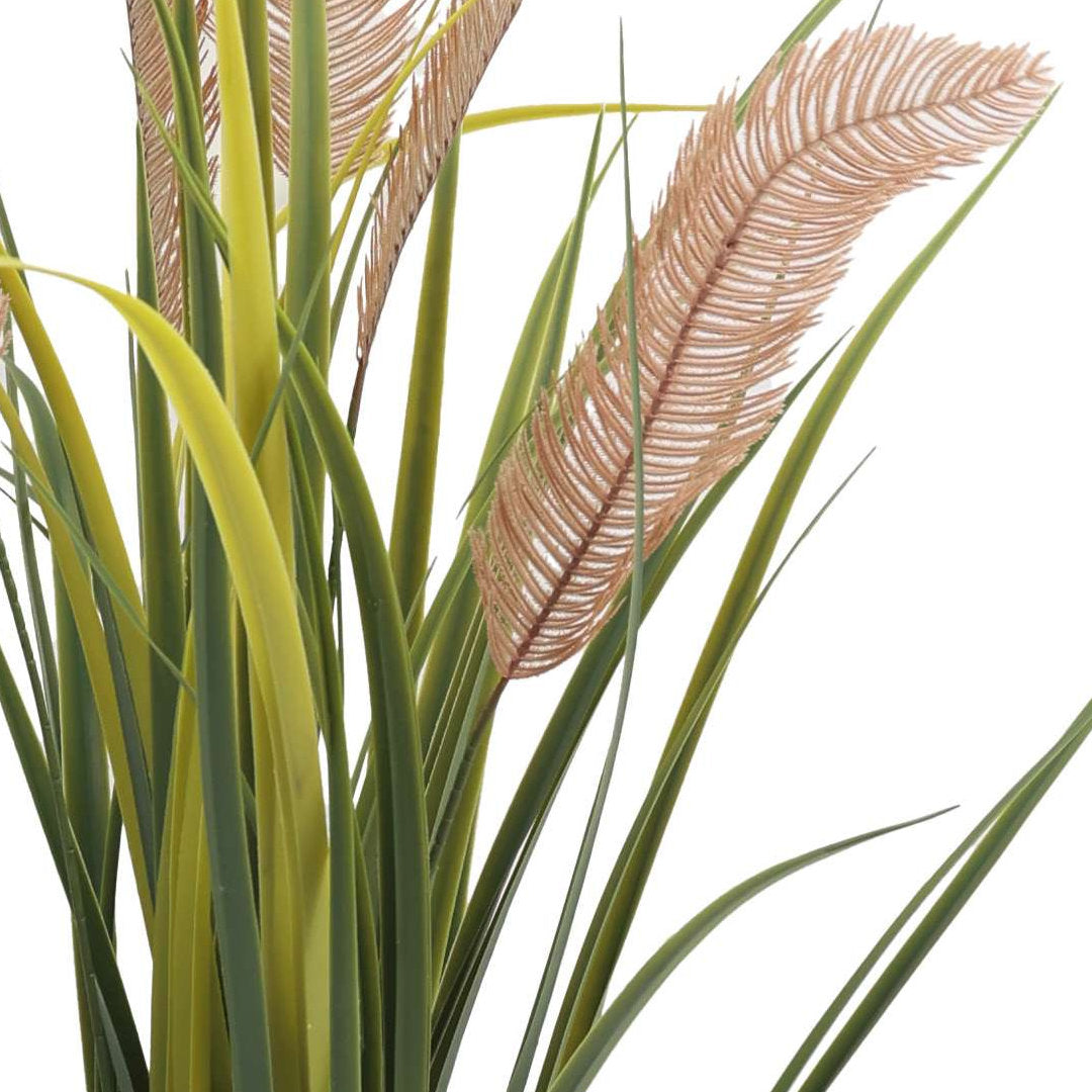 Pampas Grass Plant UV Protected - 90cm