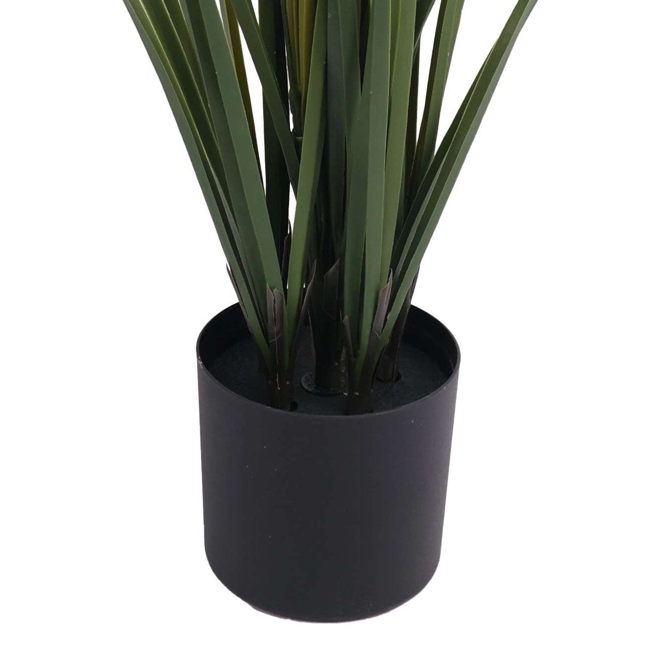 Pampas Grass Plant UV Protected - 90cm