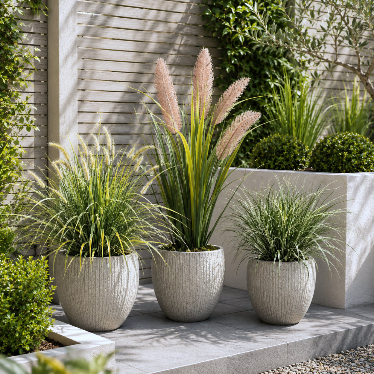 Pampas Grass Plant UV Protected - 90cm