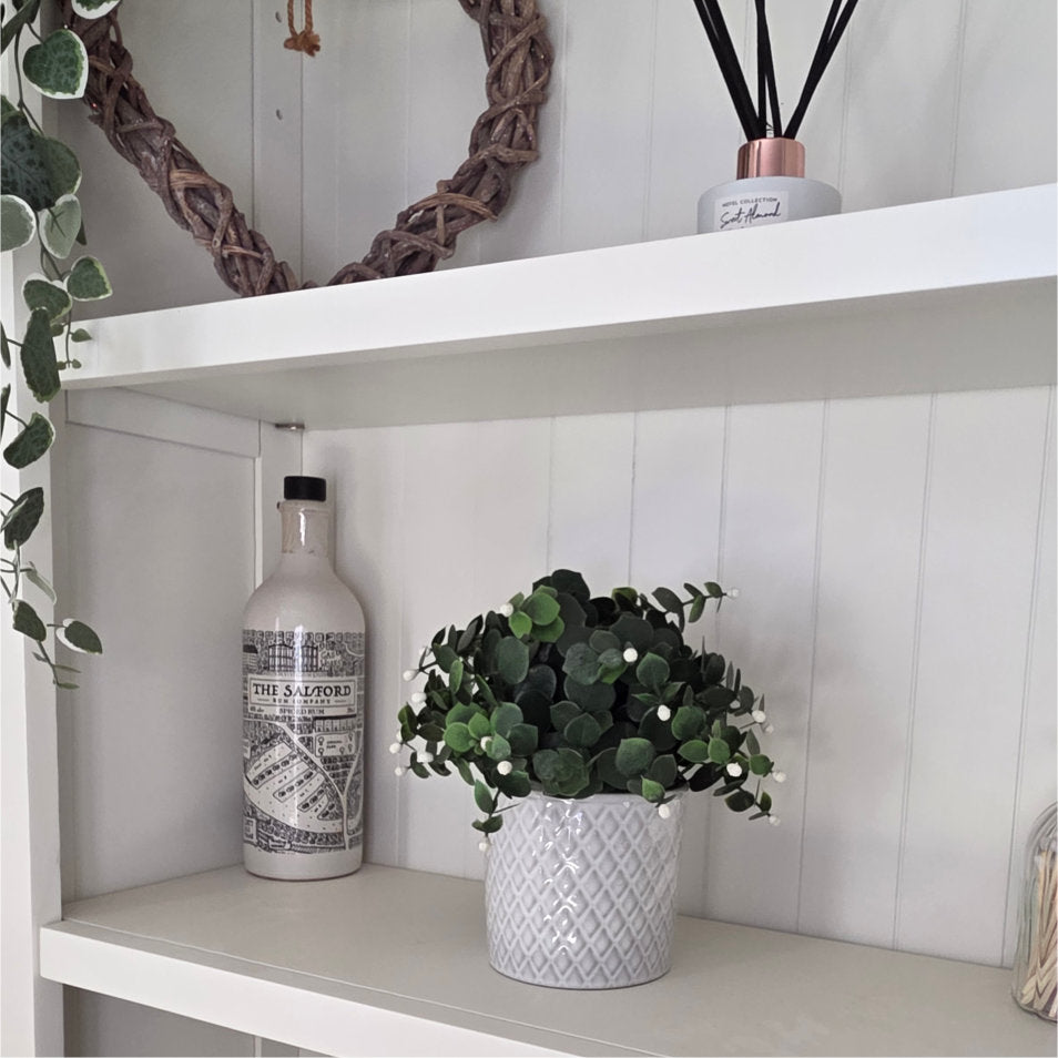 Potted Eucalyptus Plant 22cm