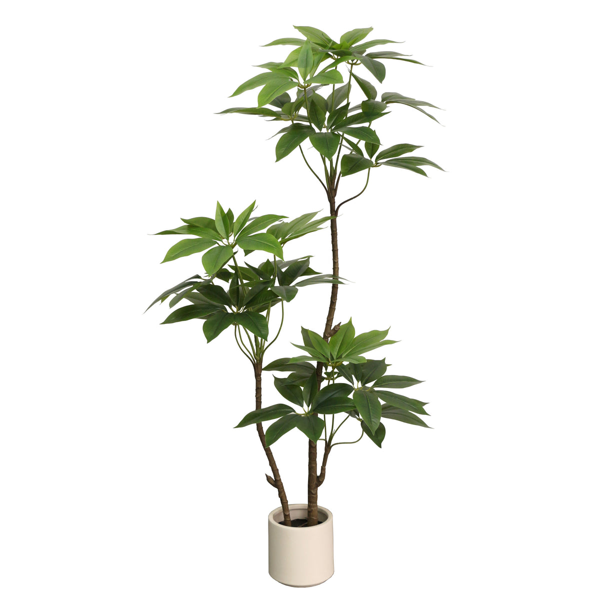 Artificial Umbrella Tree in Off White Pot 150cm