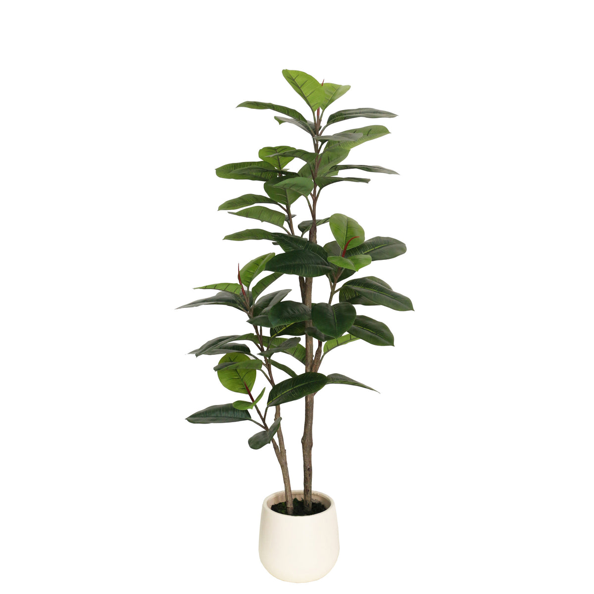 Artificial Rubber Ficus Tree in White Pot - 135cm