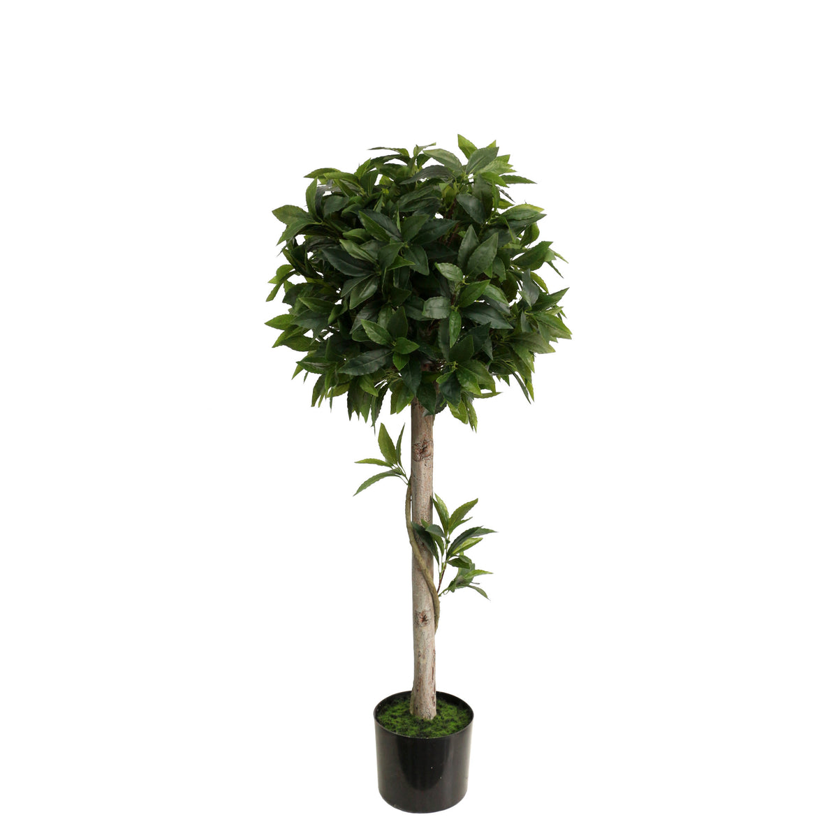 Artificial Bay Topiary Tree Natural Wood Trunk - 110cm