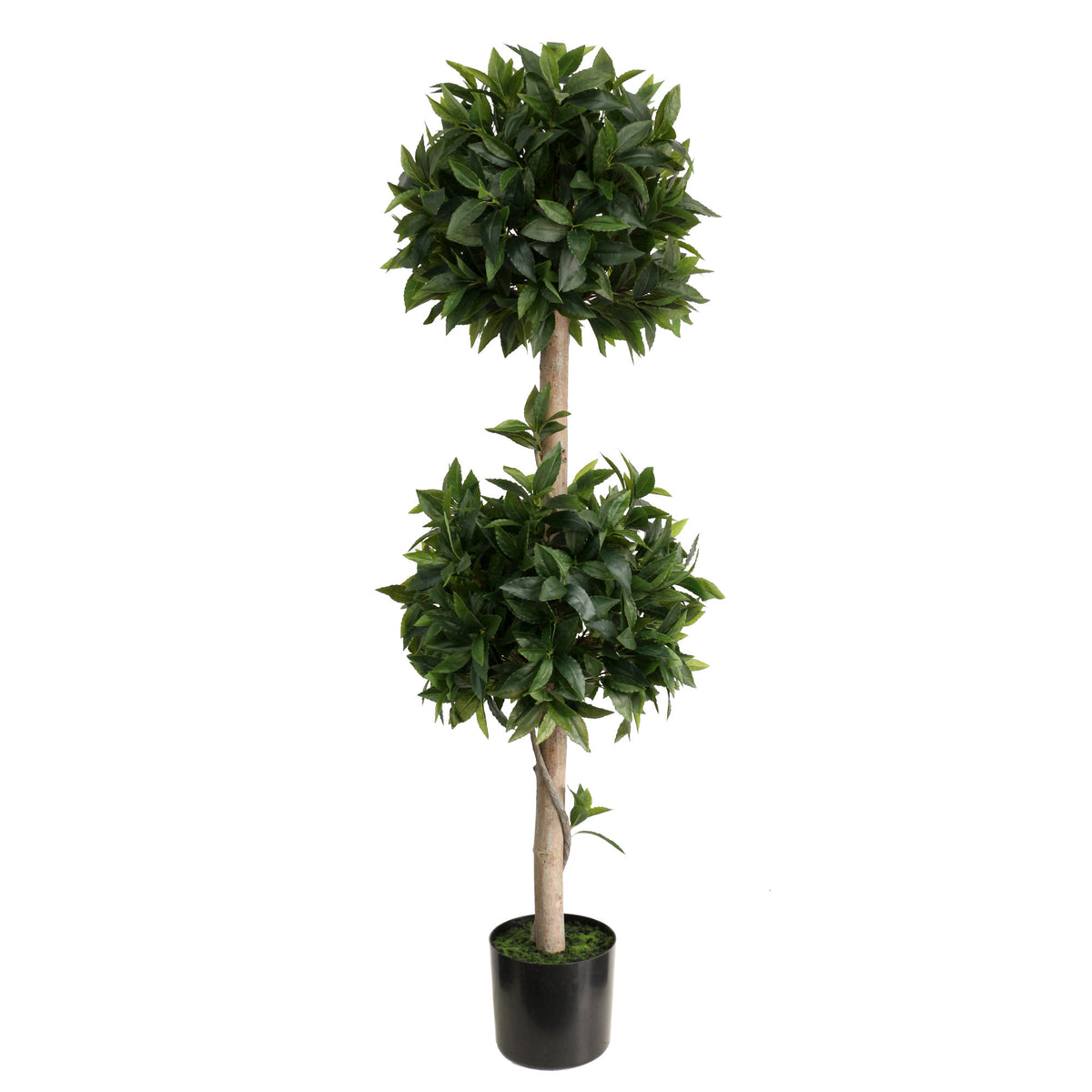 Artificial Bay Tree Double Ball Topiary Natural Trunk - 153cm