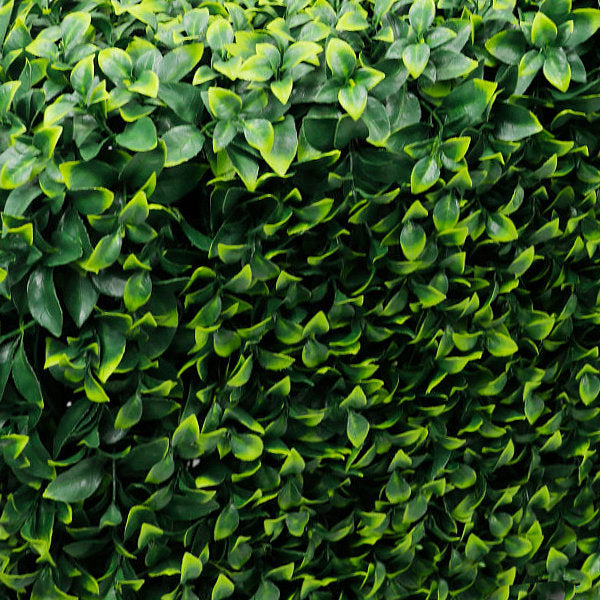Premium Freestanding Artificial Gardenia Hedge - 56cm x 158cm
