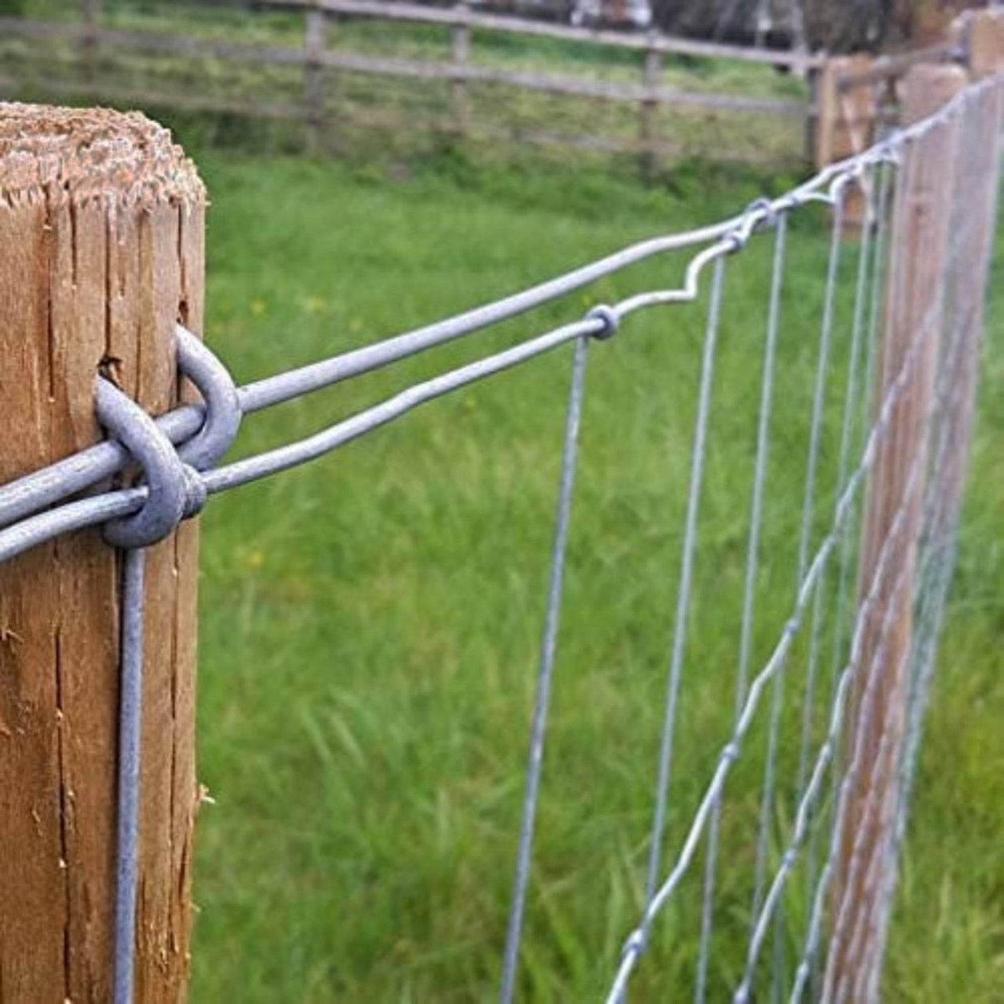 Galvanised Line Straining Tension Wire 25m or 52m – Evergreenery