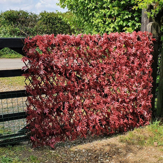 Premium Artificial Red Acer on Expanding Willow Trellis on 5 Bar Gate