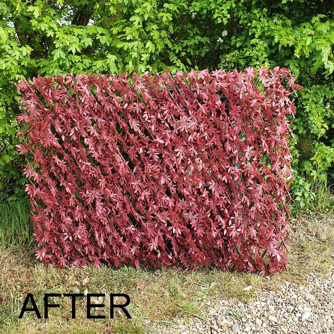 Refuse Bin after cover up with Premium Artificial Red Acer on Expanding Willow Trellis