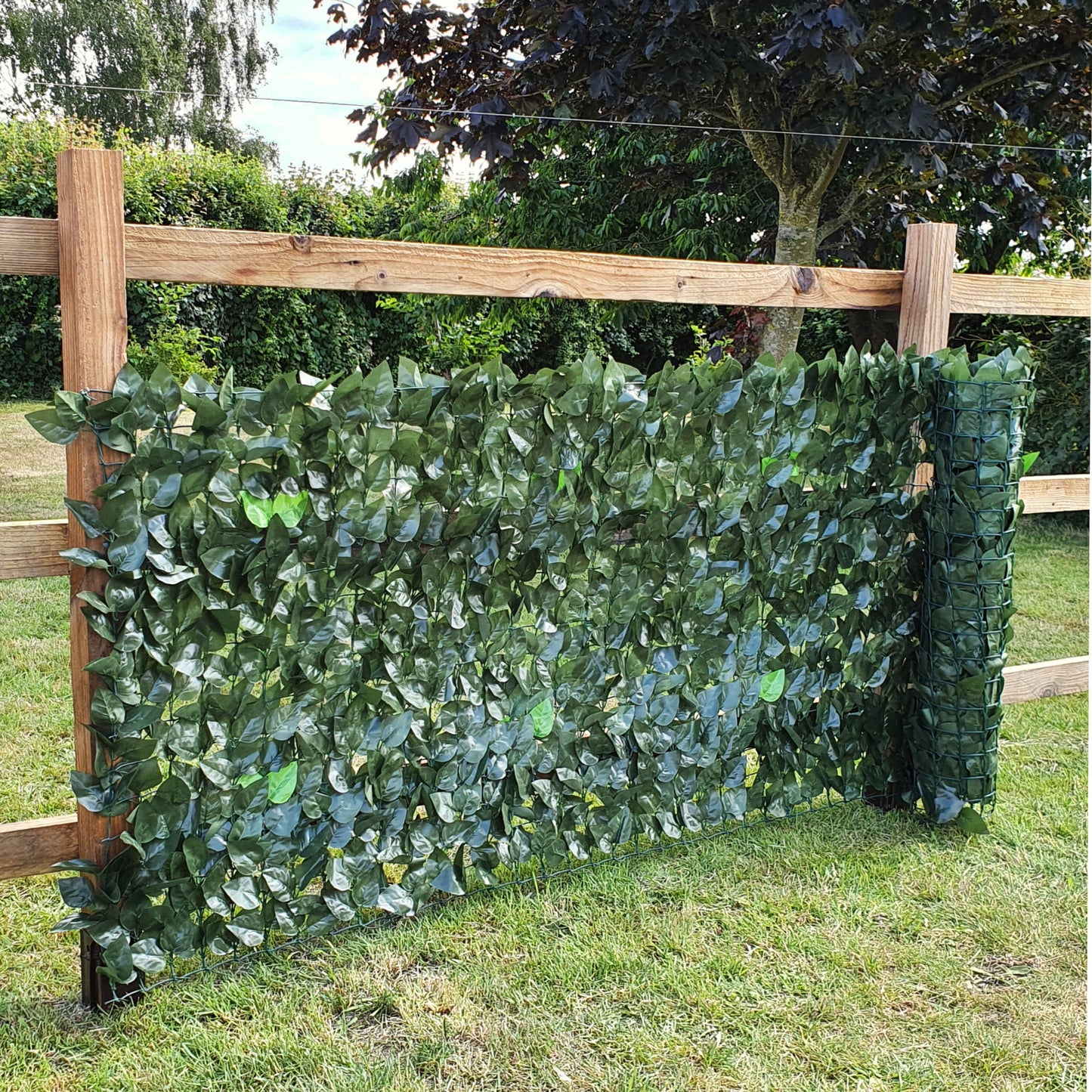 Artificial Two Colour Ivy Leaf Hedge on Garden Fence