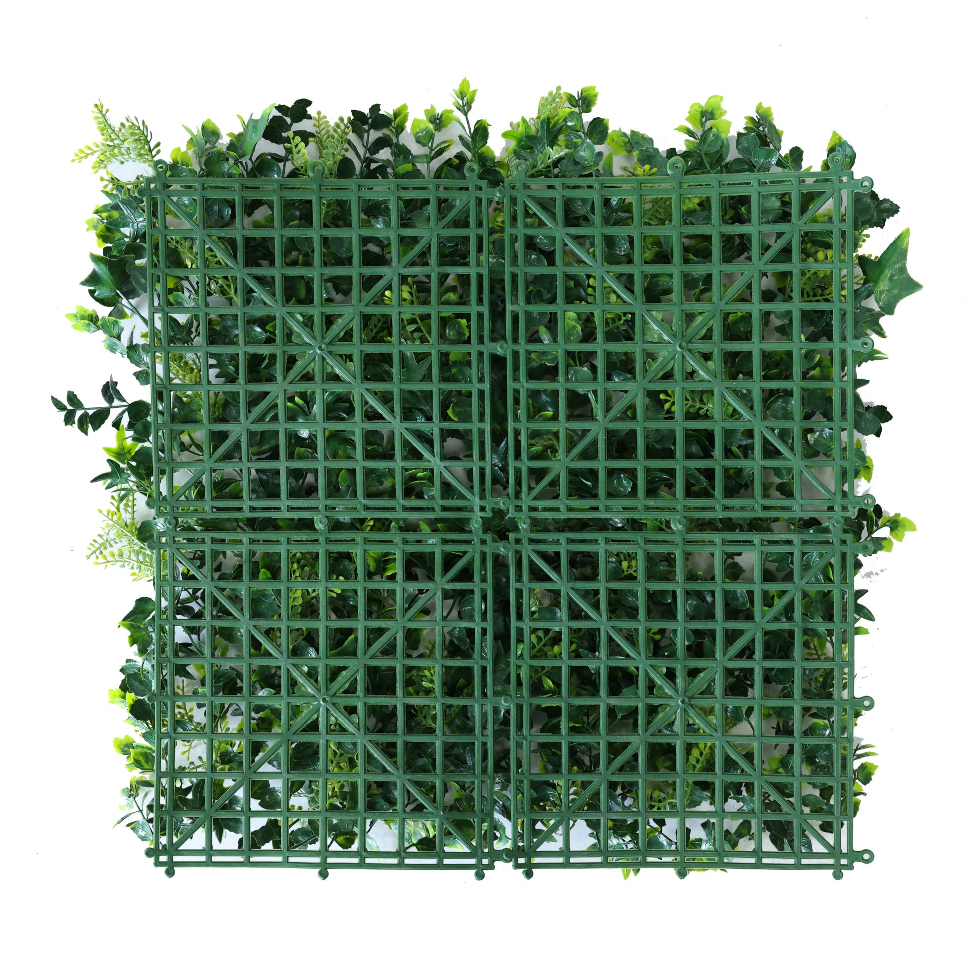 Premium Ivy Artificial Green Wall Panel 50cm x 50cm Back