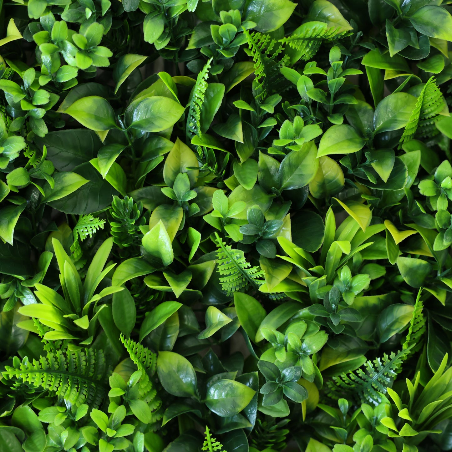 Premium Artificial Green Fern Green Wall Panel 50 x 50cm Close Up