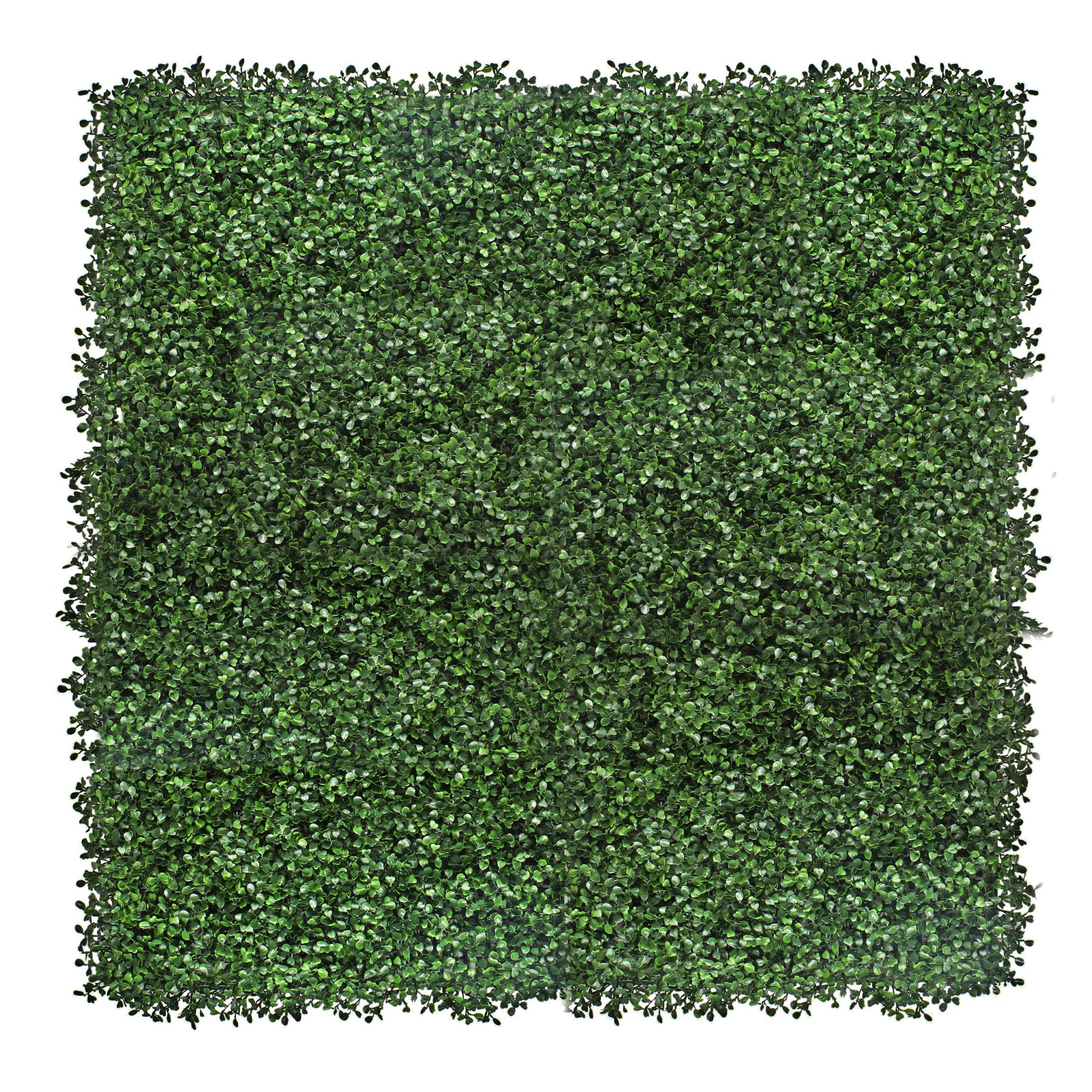Boxwood Artificial Living Wall Hedge Mat Green 1m x 1m