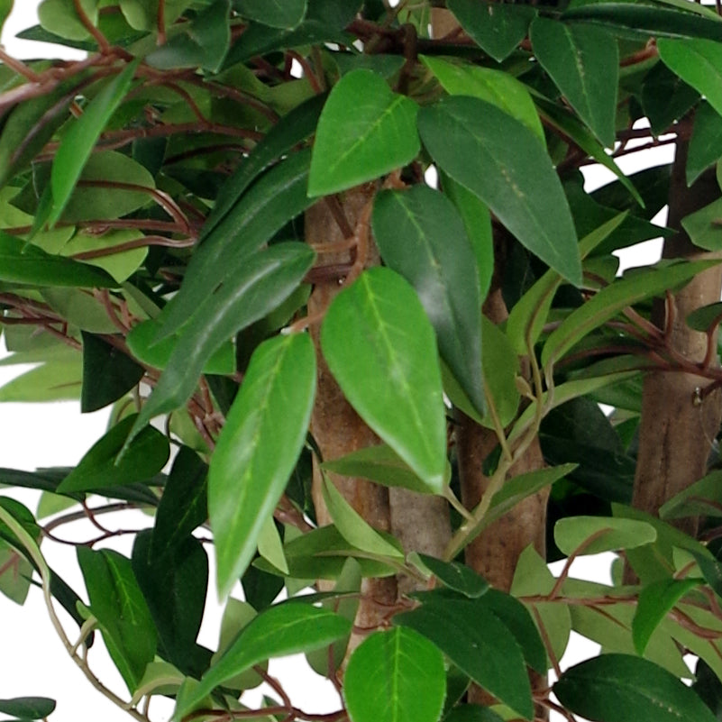 Artificial Smilax Sarsaparilla Ficus Tree 90cm - Premium Range Close up of Leaves