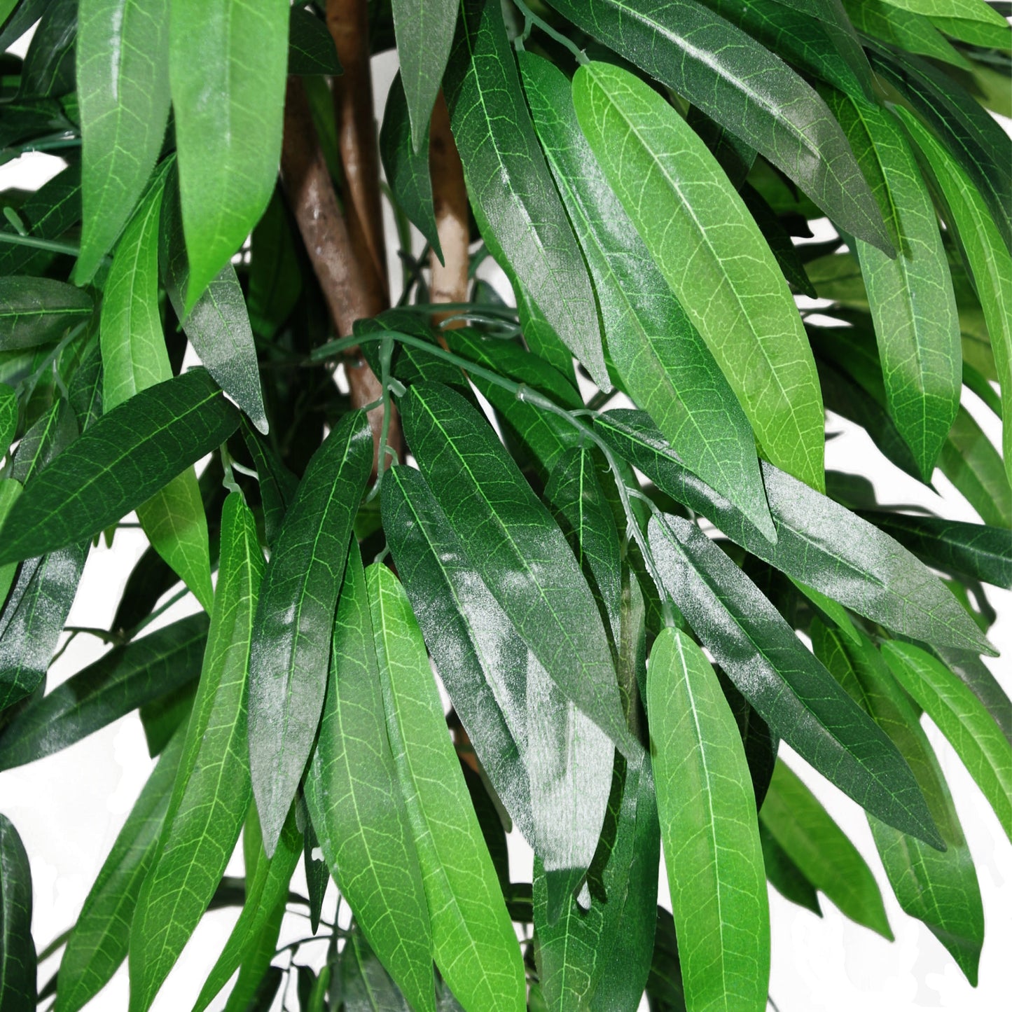 Large Artificial Mango Tree Plant Close Up Of Leaves