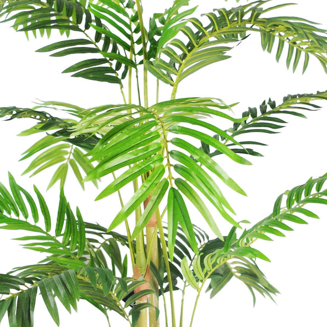 Premium Artificial Areca Palm Close up of Leaves