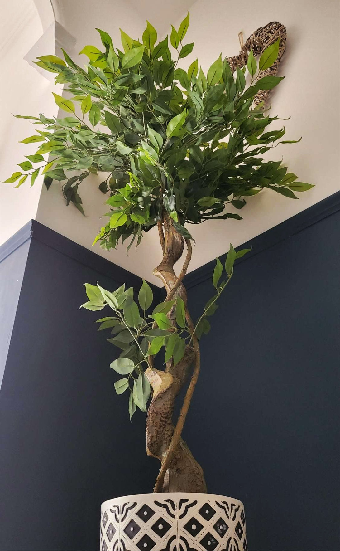 Artificial Japanese Fruticosa Tree Twisted Ficus 120cm Customer Image