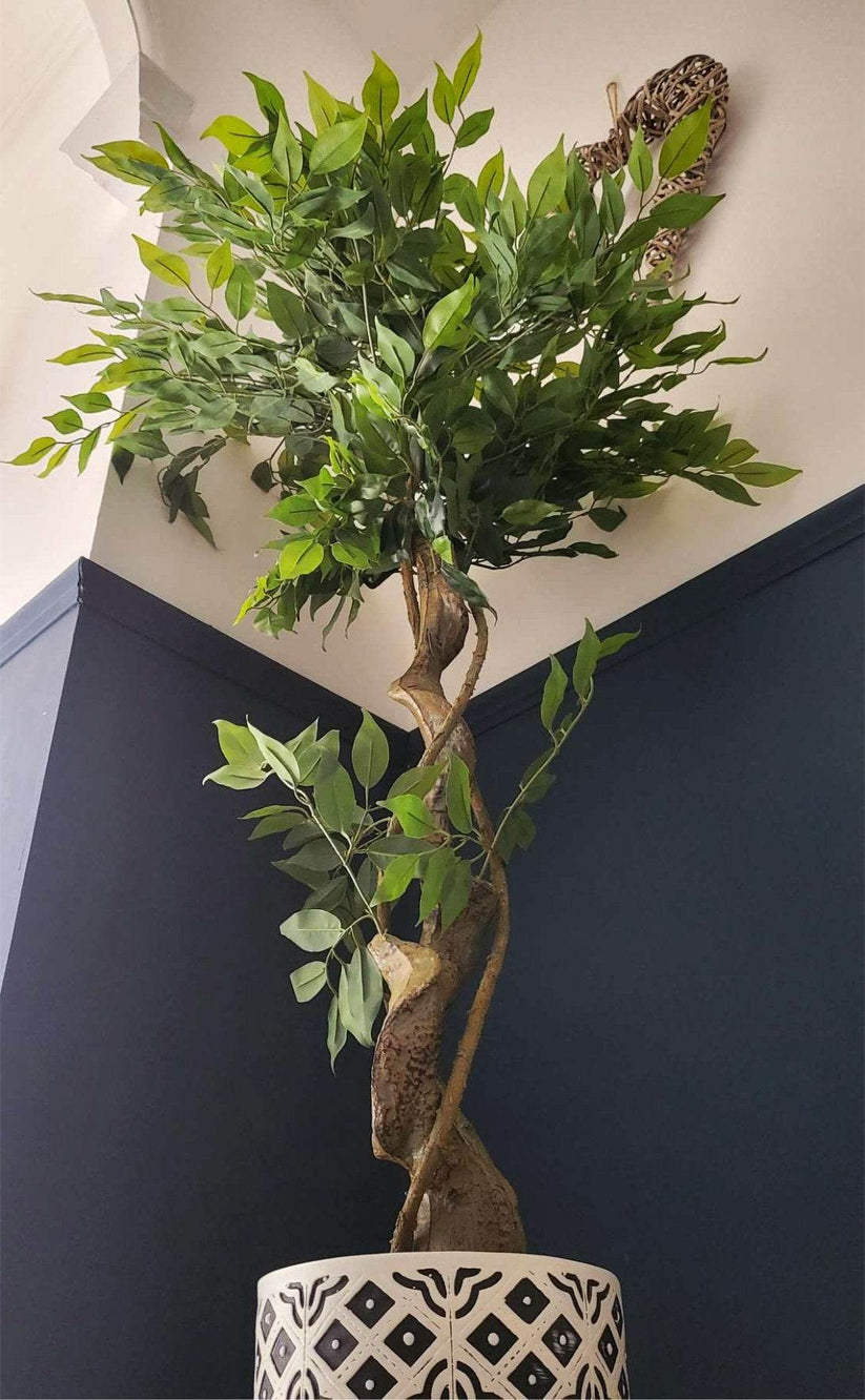 120cm Twisted Trunk Artificial Japanese Fruticosa Style Ficus Tree main image 0