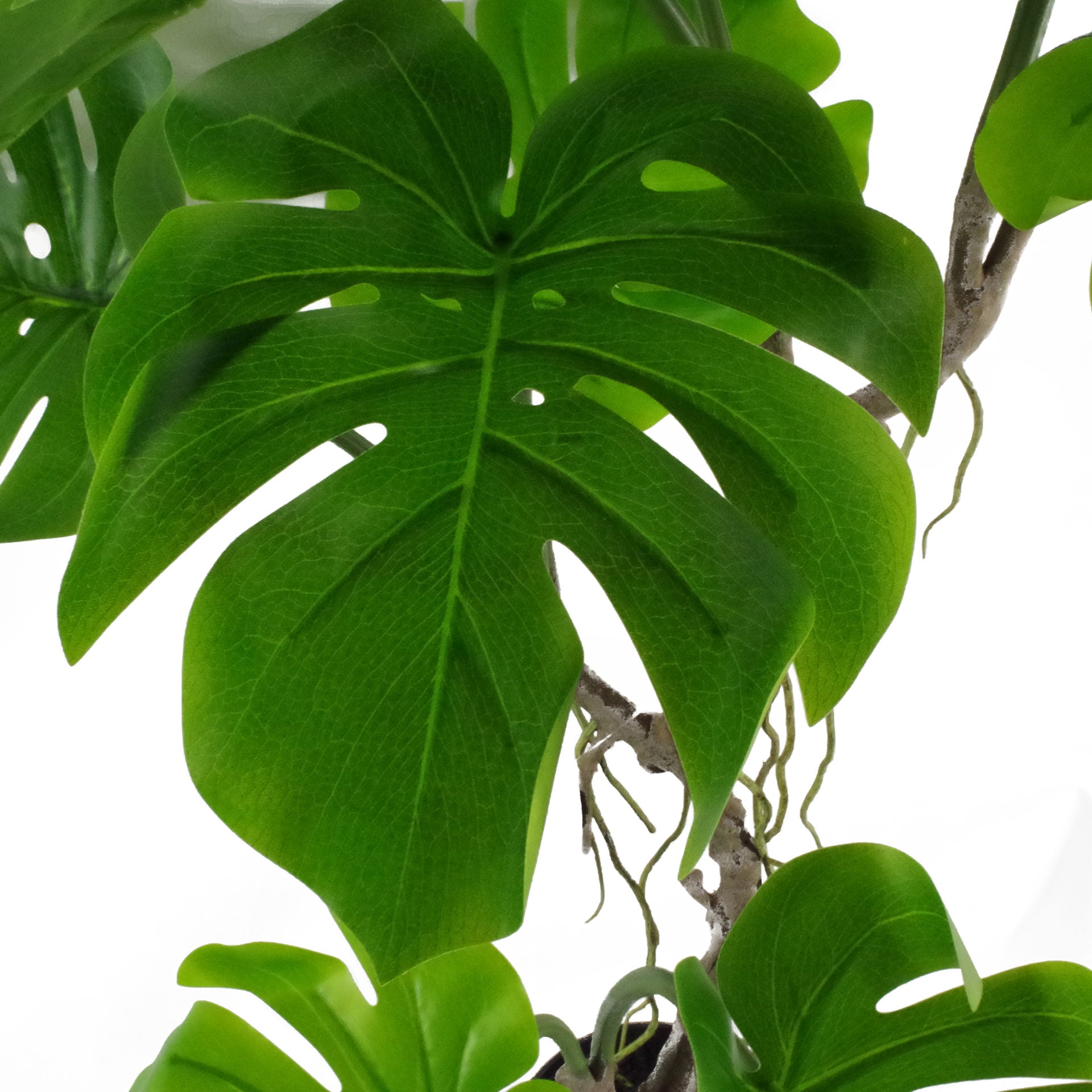 Artificial Twisted Stem Monstera Plant Leaf Close Up