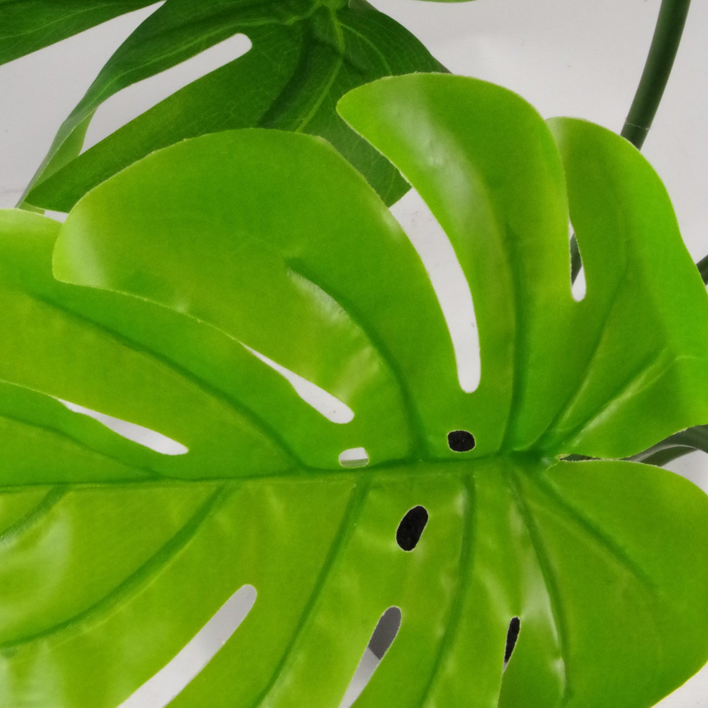 Artificial Twisted Stem Monstera Plant Leaf Close Up