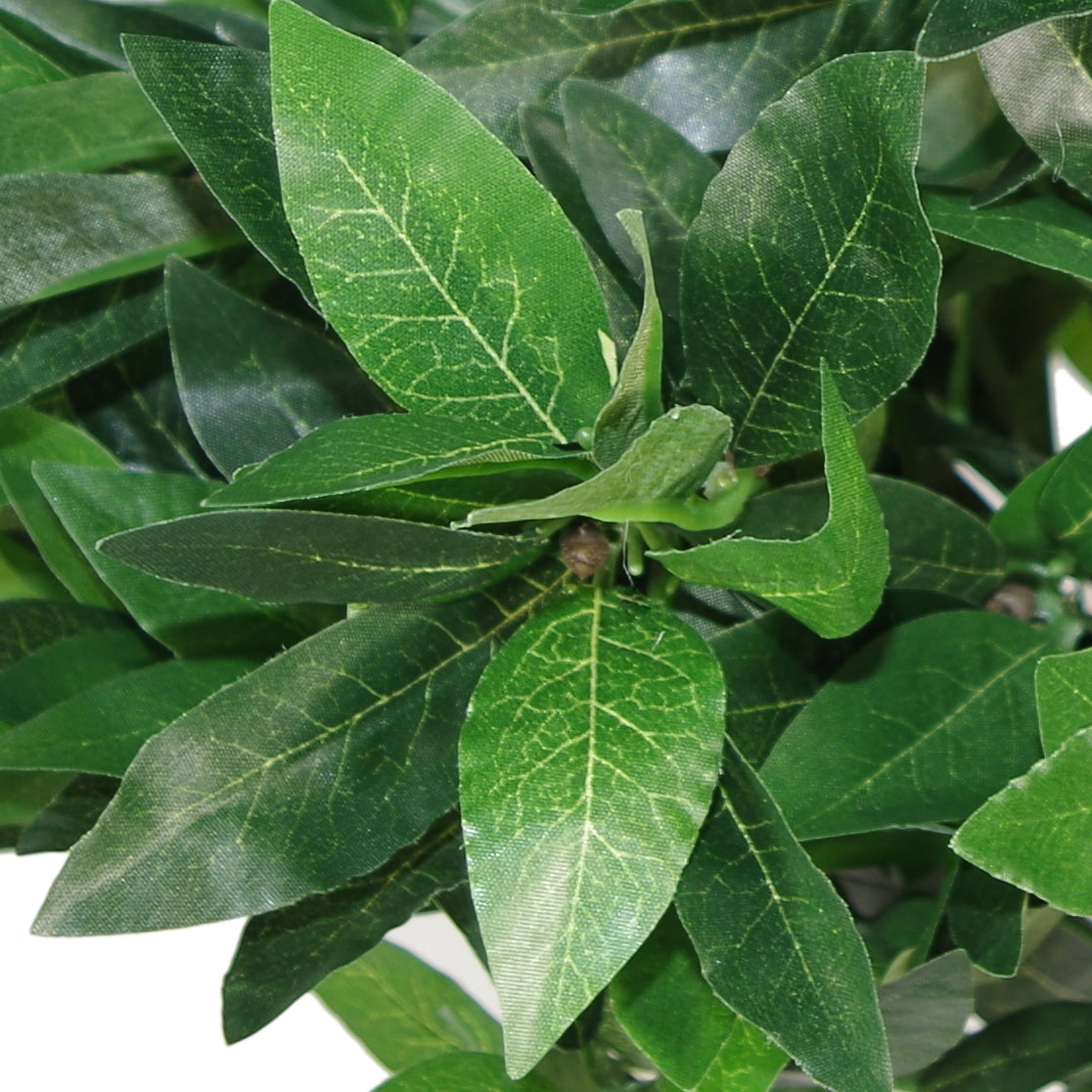 Products Pair of Artificial Topiary Bay Trees with Twisted Natural Trunk Close Up Of Leaves