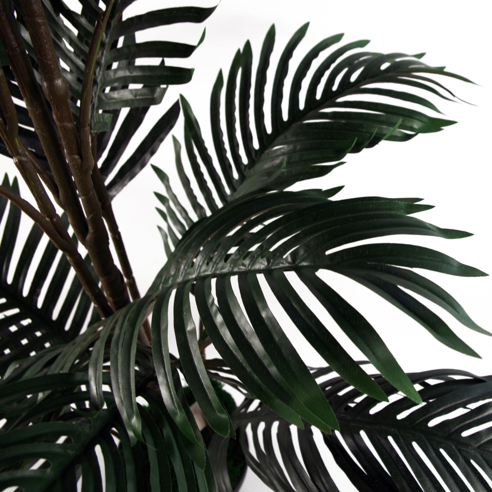 Extra Large Artificial Palm Tree Close Up of Leaves